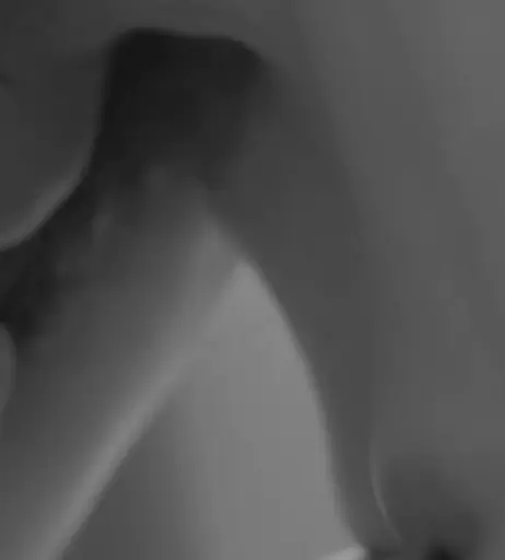 Image 2116614 from Ines Quermann