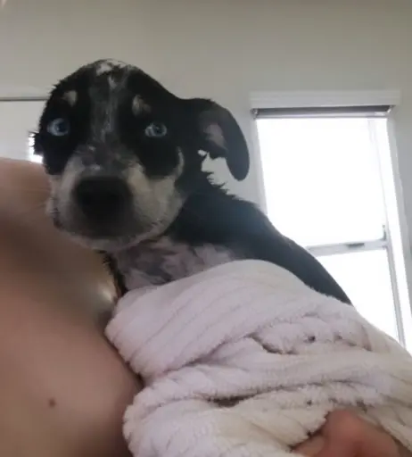 Image 2116232 from Bonnie Wright