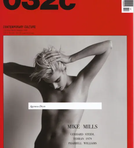 Image 2114621 from Agyness Deyn