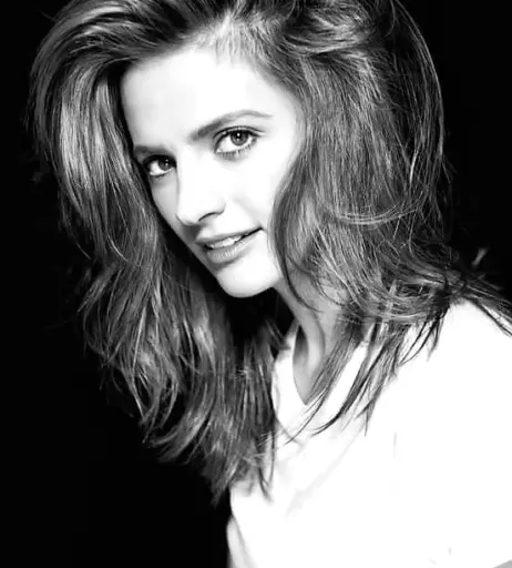 Image 2112433 from Stana Katic