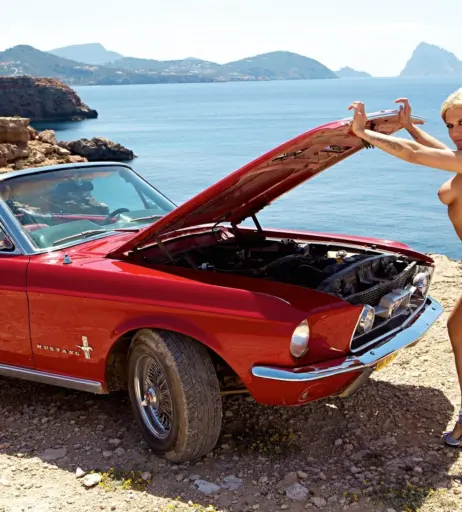 Image 2113912 from Natalie Horler