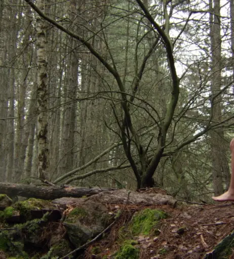 Image 2106887 from Talitha Luke-Eardley