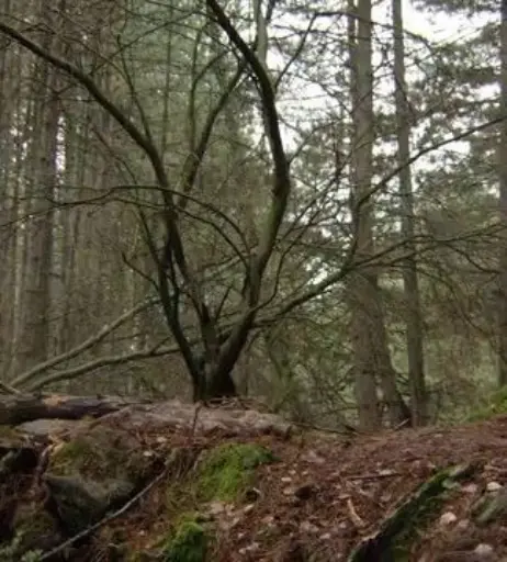 Image 2107412 from Talitha Luke-Eardley