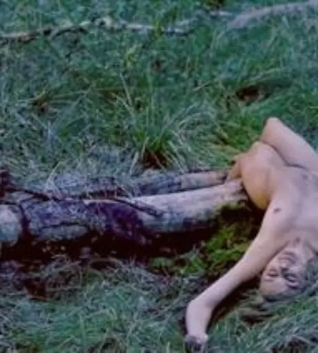 Image 2104372 from Luise Heyer