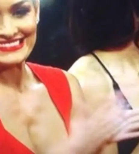 Image 2104205 from Brie Bella