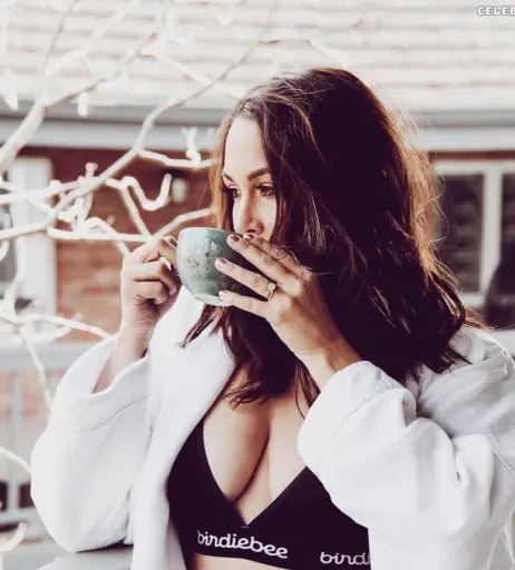 Image 2102875 from Brie Bella