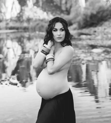 Image 2102700 from Brie Bella