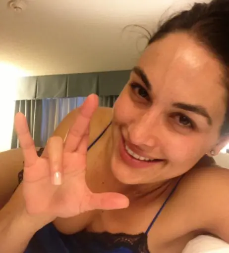 Image 2102309 from Brie Bella