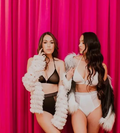 Image 2102967 from Brie Bella