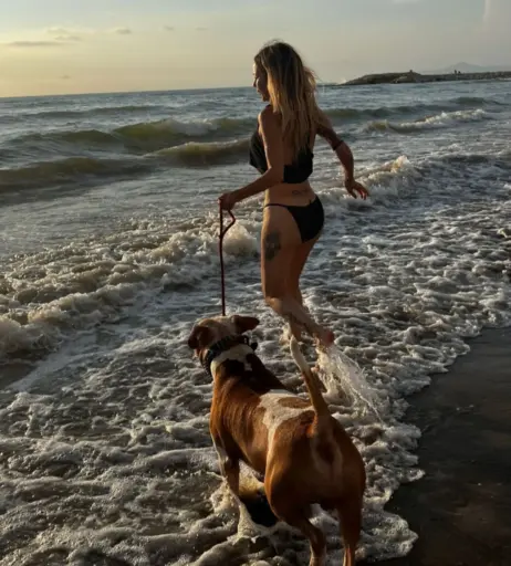 Image 2103409 from Deborah De Luca