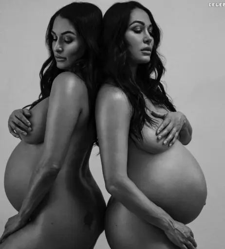 Image 2103777 from Brie Bella