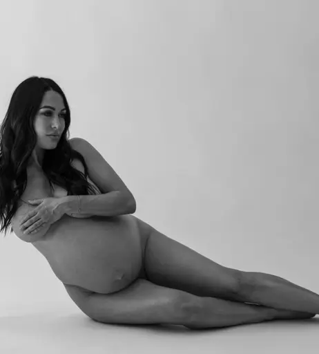 Image 2103629 from Brie Bella