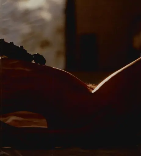 Image 2109913 from Vanity