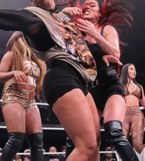 Image 22954839 from Jaida Parker - WWE/NXT