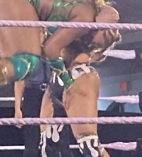 Image 22954842 from Jaida Parker - WWE/NXT