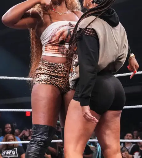 Image 22954840 from Jaida Parker - WWE/NXT