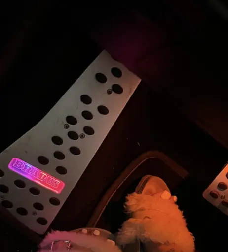 Image 2295432 from Maryscrib