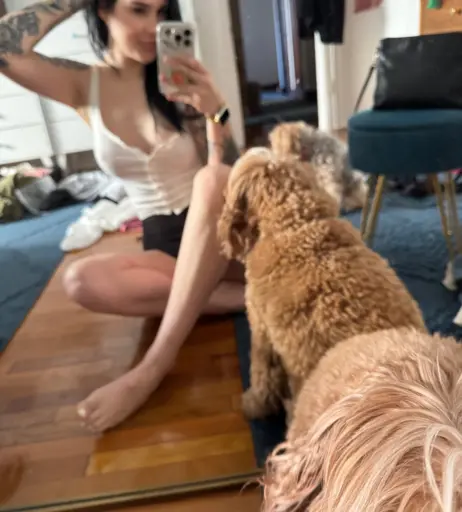 Image 22867904 from Arryn Zech