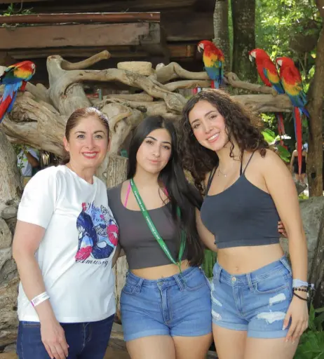Image 22871728 from Paulina Torres / ipautorres