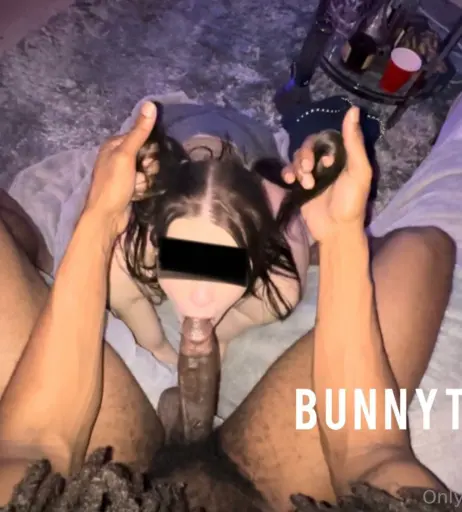 Image 22805358 from Bunnytrainer | Bunnitrainer