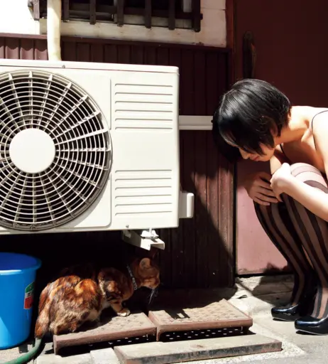 Image 22882841 from Yuka Kuramoti / 倉持由香