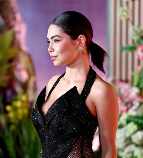 Image 22742541 from Auli'i Cravalho