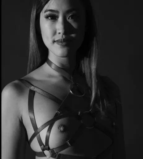 Image 22738259 from Stephanie Pham