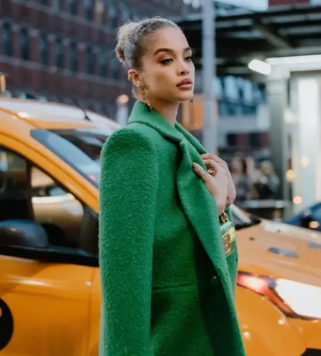Image 22793825 from Jasmine Sanders/Golden Barbie