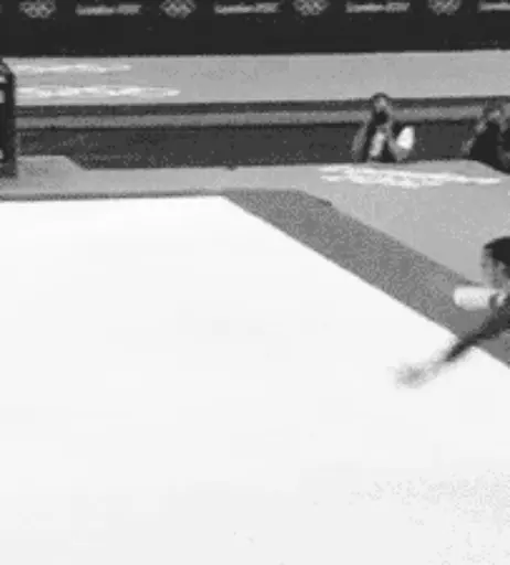 Image 22793600 from Aly Raisman