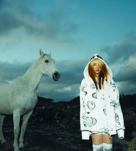 Image 22697387 from Alison Wonderland