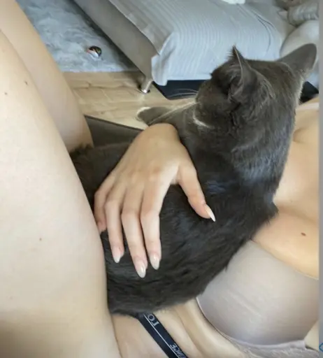 Image 2269645 from Sabbre