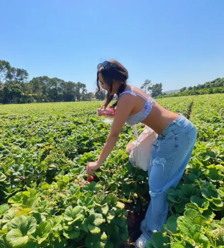 Image 2259303 from Stella Hudgens