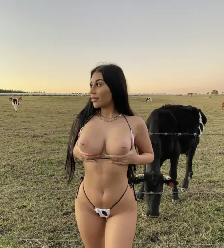 Image 2245029 from Mikaela Testa