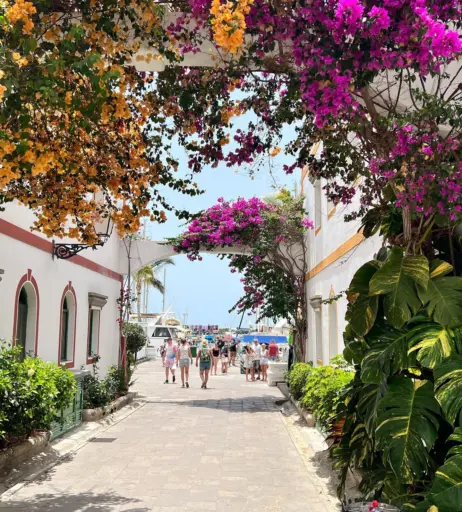 Image 224478 from Marta Augustin