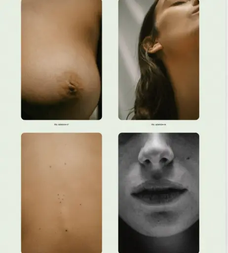Image 2237996 from Alejandra Guilmant