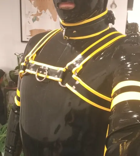 Image 22248827 from rubbersorcerer