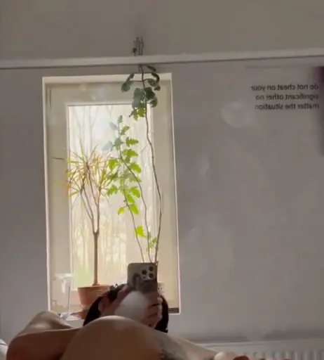 Image 2221007 from Ivy Piper