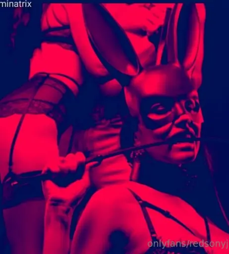 Image 22229523 from redsonyja-dominatrix
