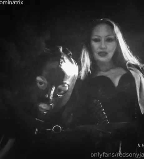 Image 22229312 from redsonyja-dominatrix