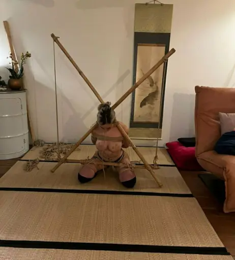 Image 2223304 from Ivy Piper