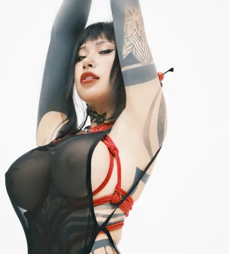 Image 2218125 from bigcatmia