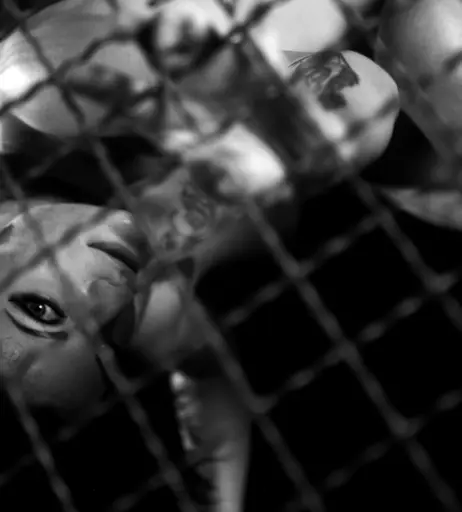 Image 2201335 from Calvato Photography - Patreon