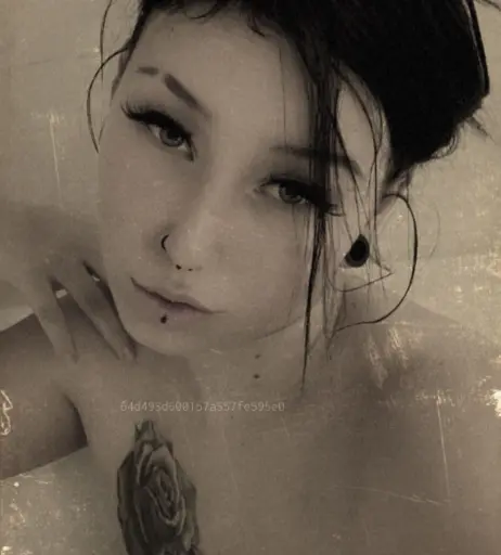 Image 2202816 from Van.Sen