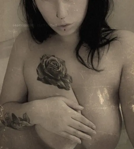 Image 2202838 from Van.Sen