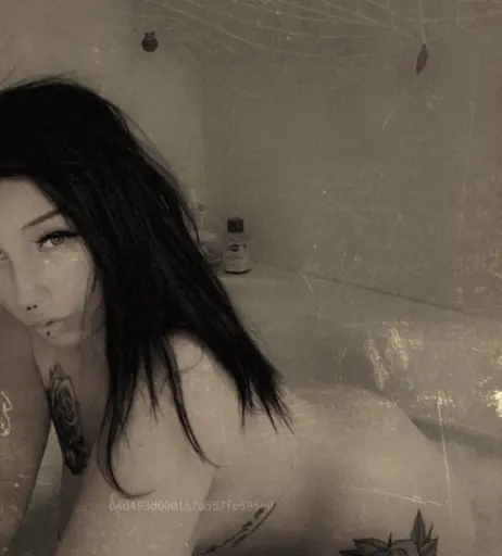 Image 2203452 from Van.Sen