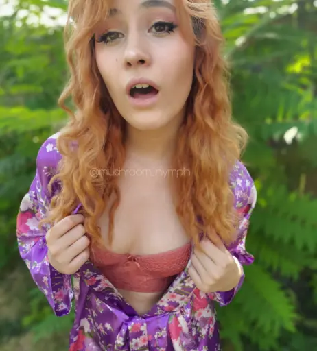 Image 2395200 from Mushroom Nymph