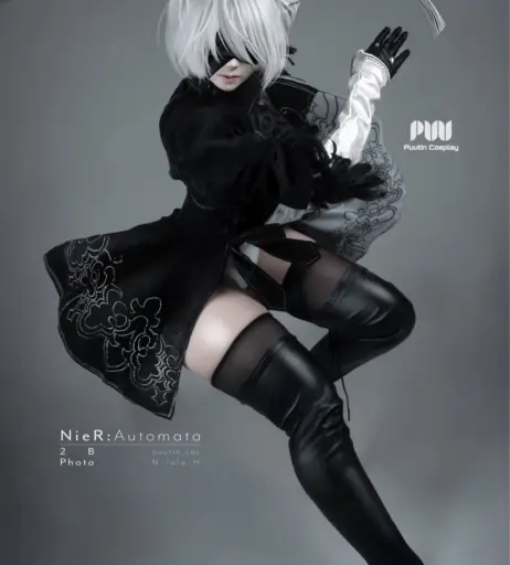 Image 23967298 from Puutin_cos