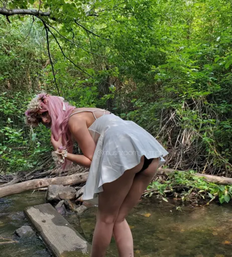 Image 2394362 from Mushroom Nymph