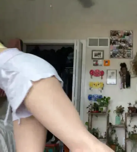 Image 23907184 from Nipslips &amp; Just Chatting streamers