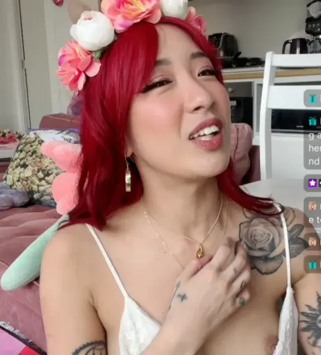 Image 23907030 from Nipslips &amp; Just Chatting streamers